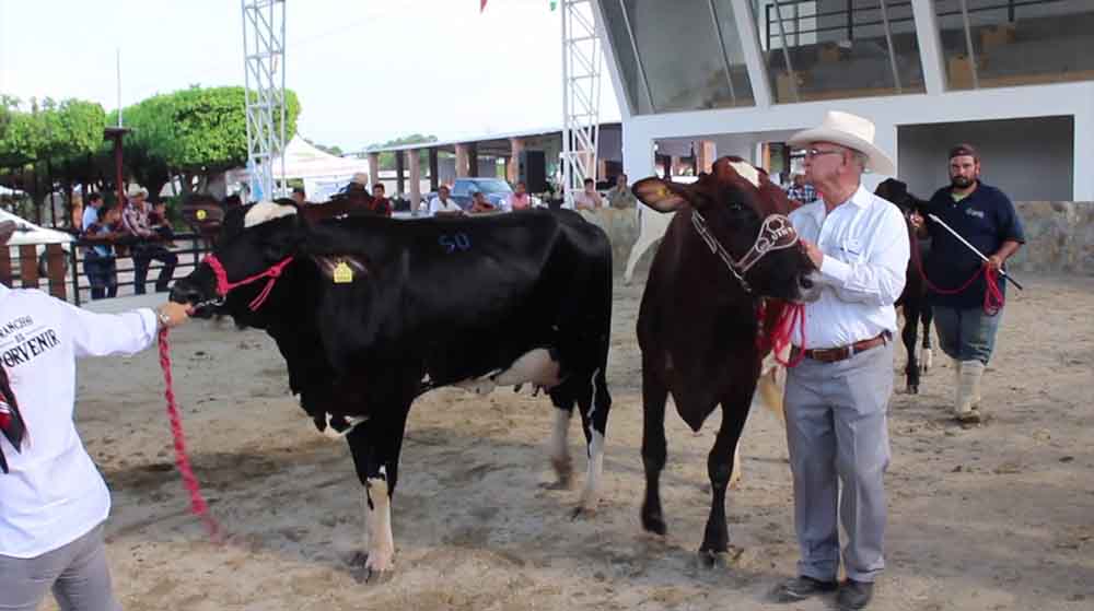 Anuncian Tercera Exposición de Ganado en Villaflores
