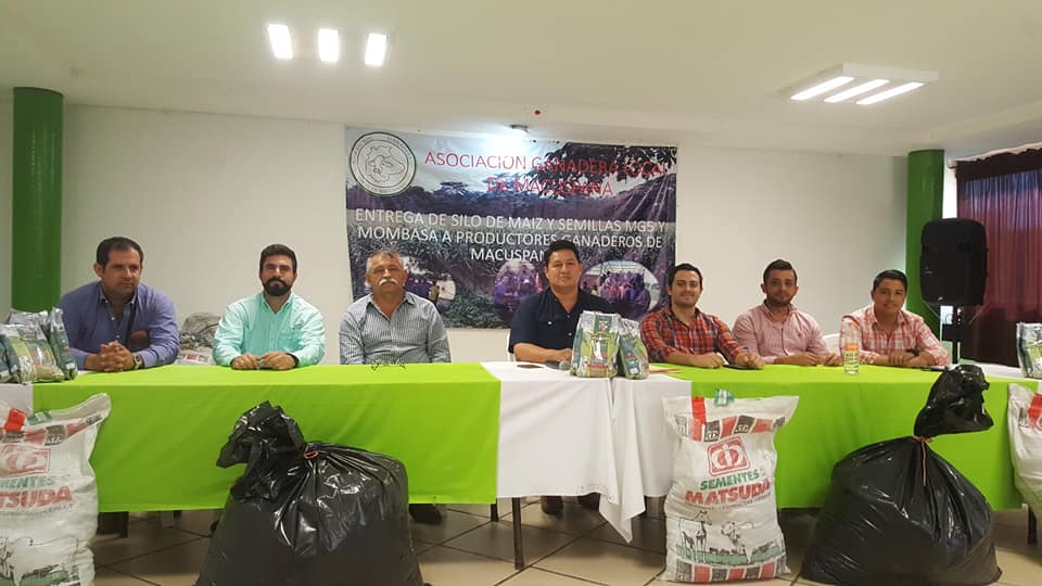 Entrega Ganadera Local de Macuspana a socios apoyos en silo de maíz y semillas MG5 y Mombasa