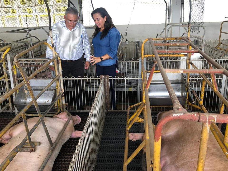 Fomenta Ayuntamiento de Macuspana desarrollo de especies menores