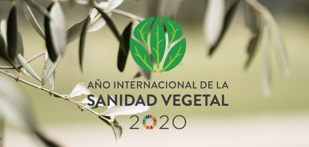 2020, Año Internacional de la Sanidad Vegetal