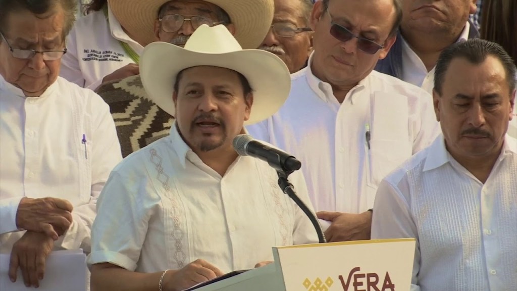 Delincuencia se roba cultivos completos en&nbsp;Veracruz