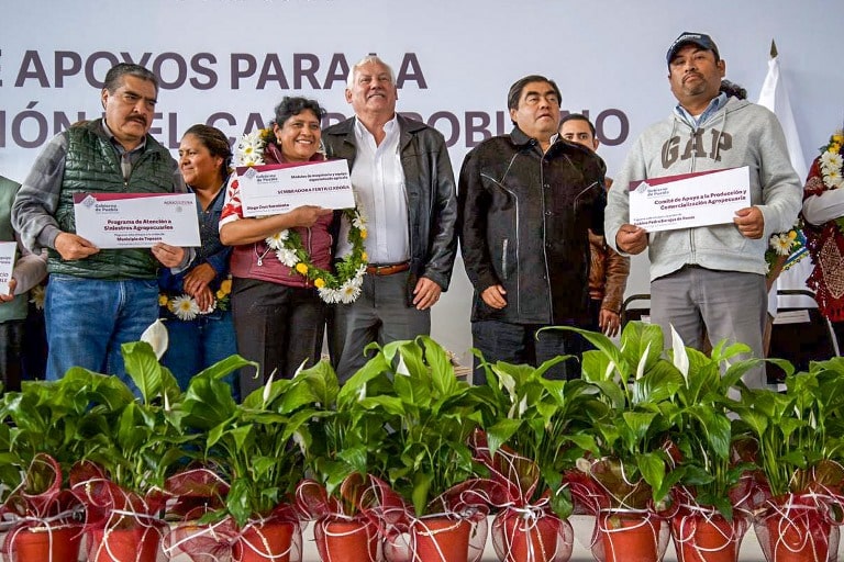Establece Gobierno de México una diferente manera de apoyar al campo: entregas directas, de frente y sin corrupción: Víctor&nbsp;Villalobos