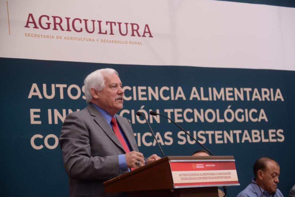 Incrementar producción de maíz y demás granos básicos, una de las metas relevantes del Gobierno de México:&nbsp;Agricultura