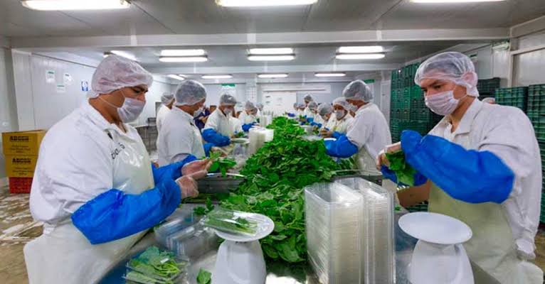 Técnicos mexicanos participaron en un curso sobre la Ley de Modernización de la Inocuidad Alimentaria (FSMA) de EUA
