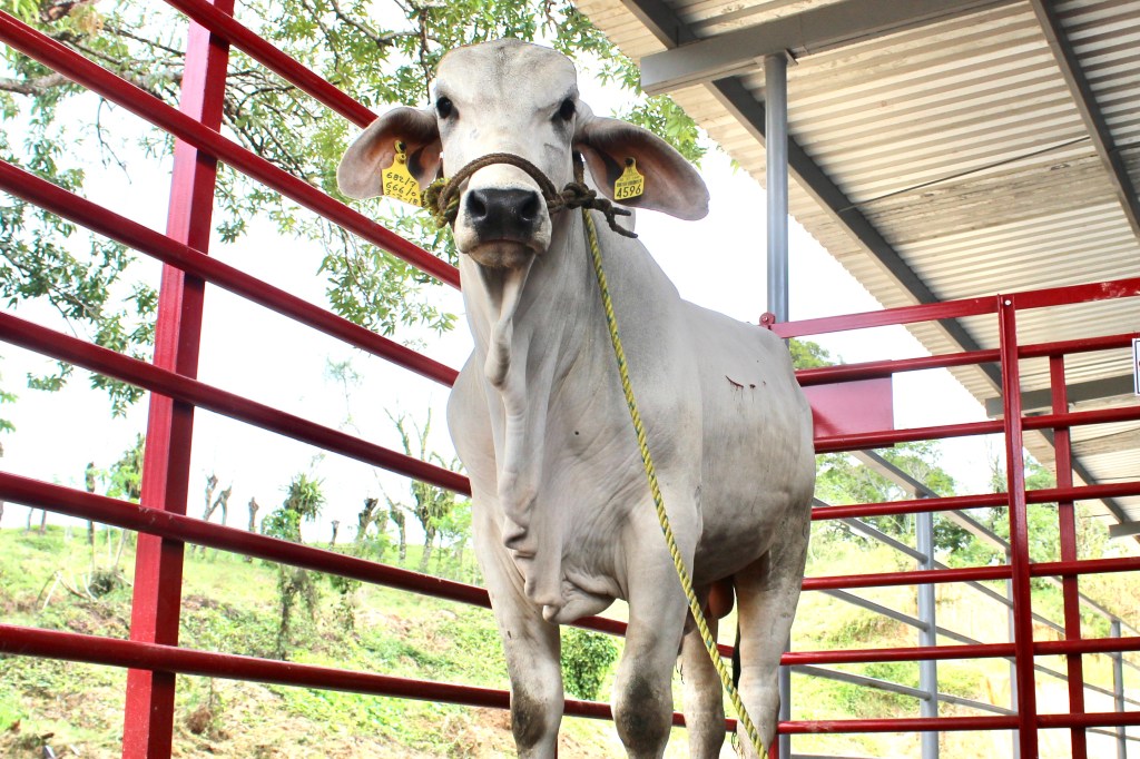 Inauguran en Centro, Rastro TIF "Cárnicos FRICETAB&nbsp;S.A.P.I."