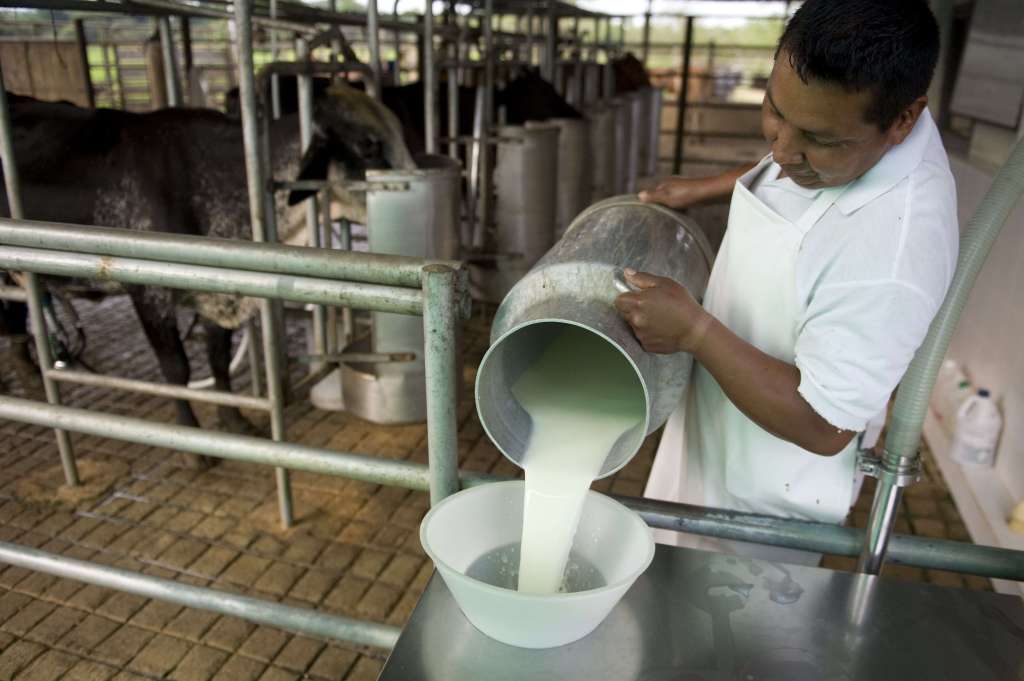 Conoce los requisitos para vender leche en los Centros de Acopio de&nbsp;Liconsa