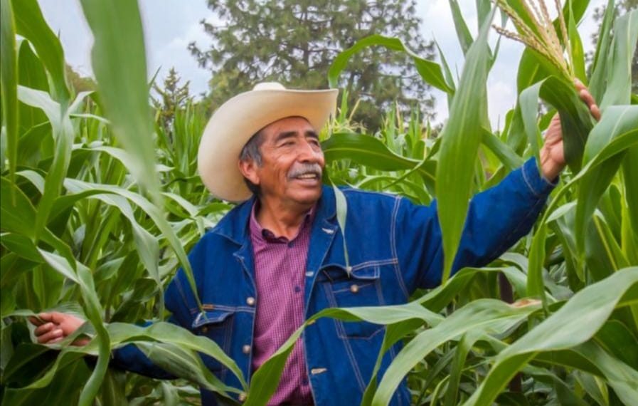 Programas prioritarios de Agricultura impactarán en 14 millones de personas de territorios rurales y costeros, ante efectos del&nbsp;COVID-19