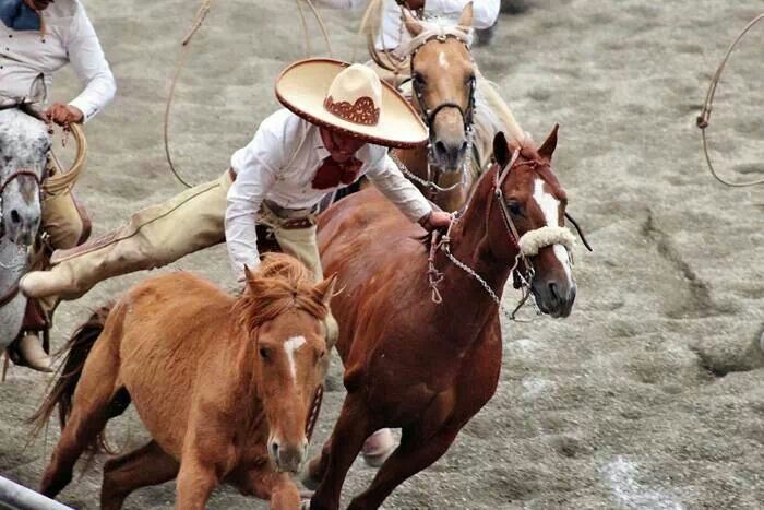 Paso de la&nbsp;muerte