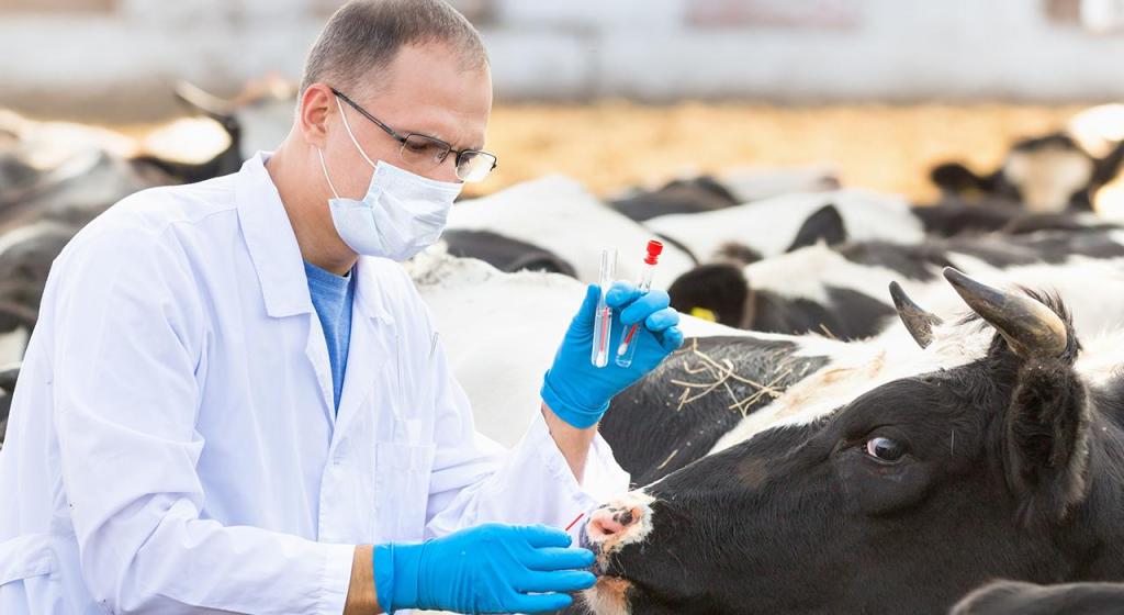 ¿Qué es la calidad e inocuidad agroalimentaria?