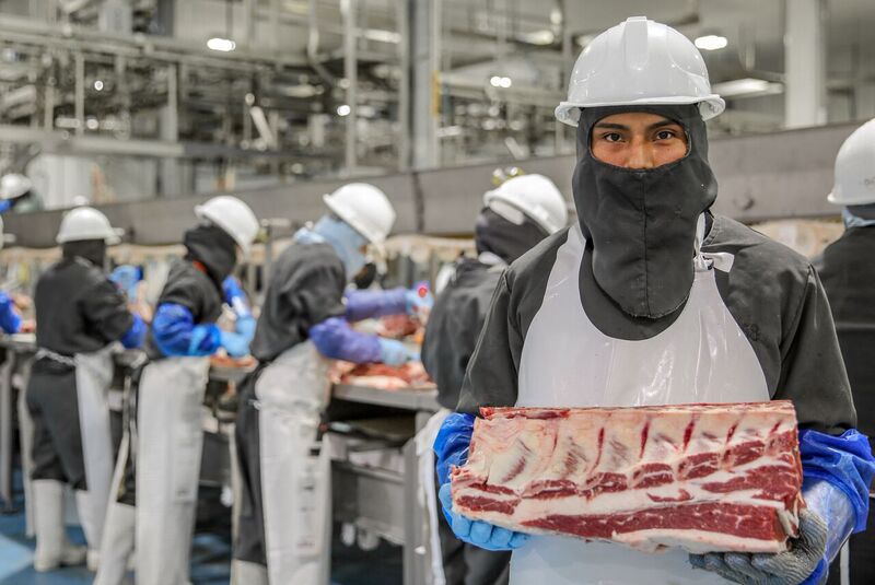 En nueve años la producción de carne en el mundo crecerá&nbsp;12%