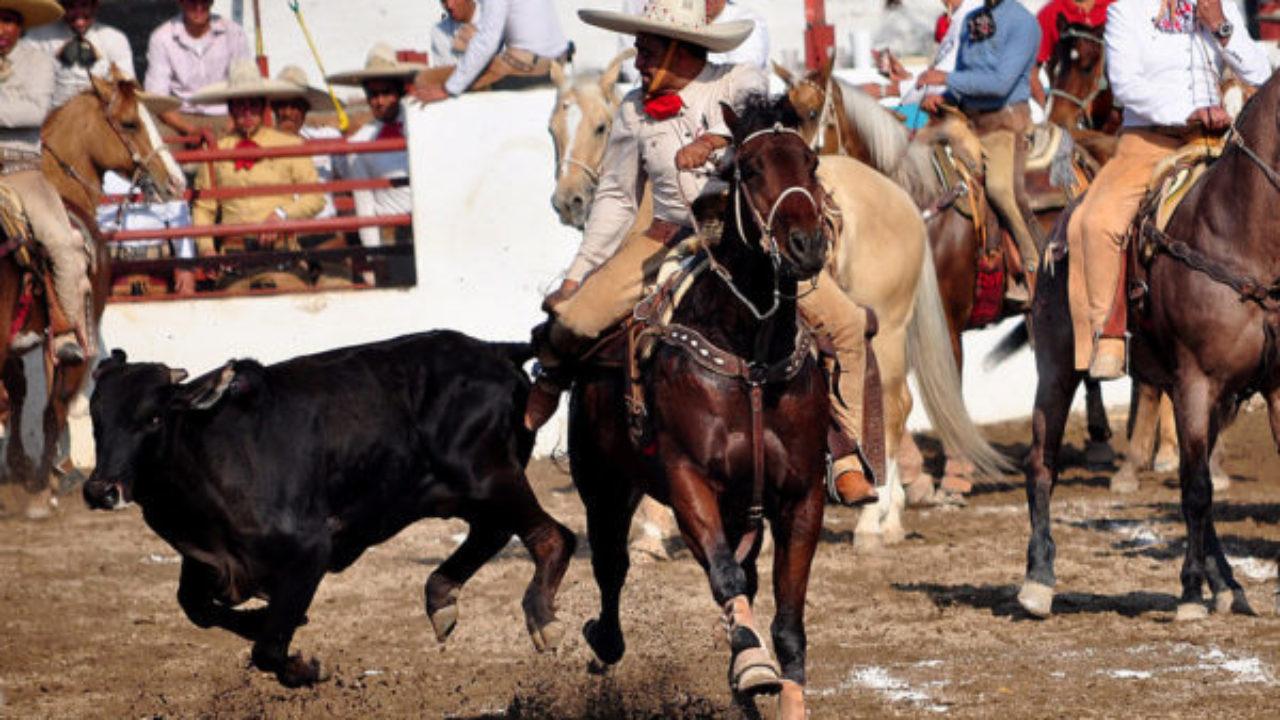 Suertes charras