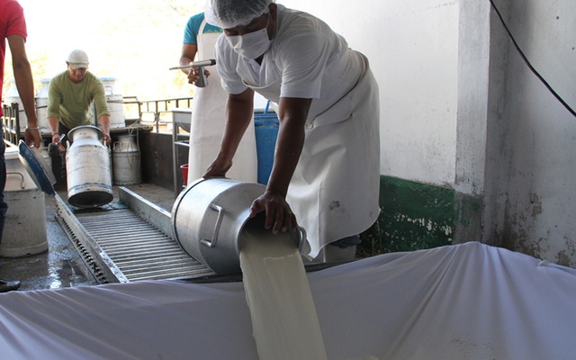 Por falta de pago de Liconsa, ganaderos de Chihuahua se han&nbsp;endeudado