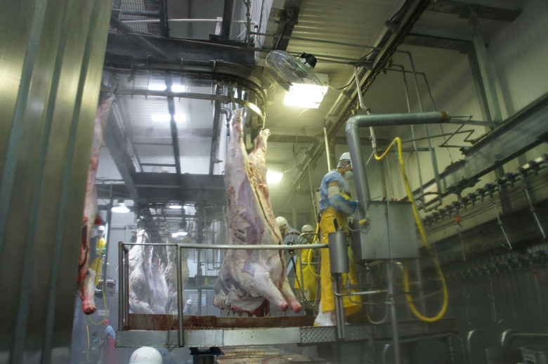 La ganadería de Zacatecas podría enviar en breve carne bovina congelada hacia&nbsp;China