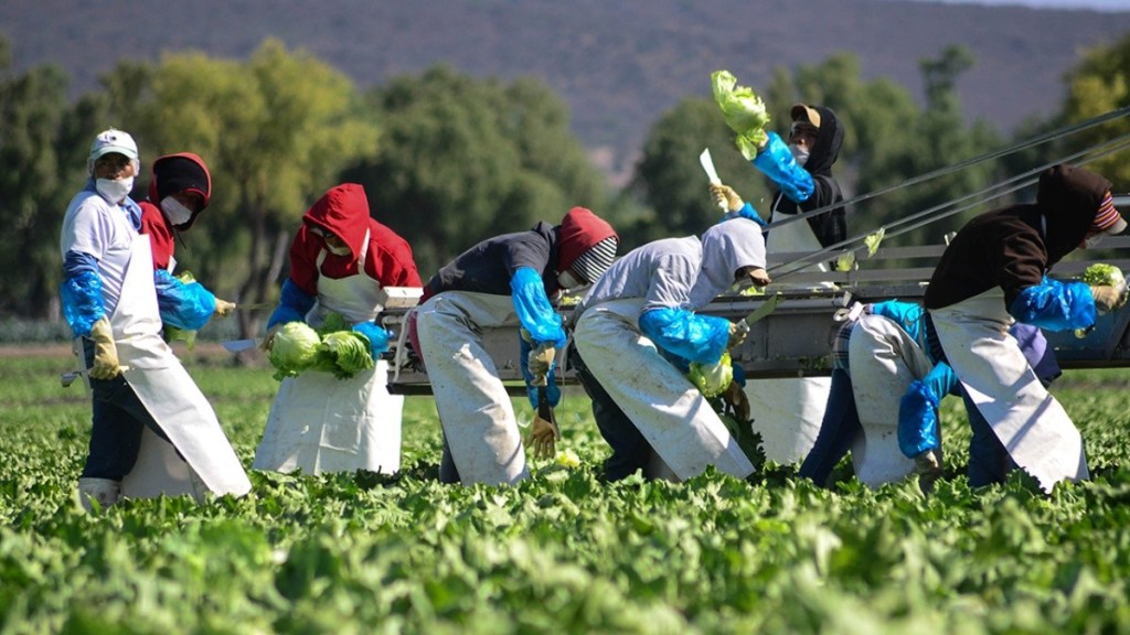 Gobierno de México anunció inicio de plan de desarrollo para  diversificación de mercados agroalimentarios