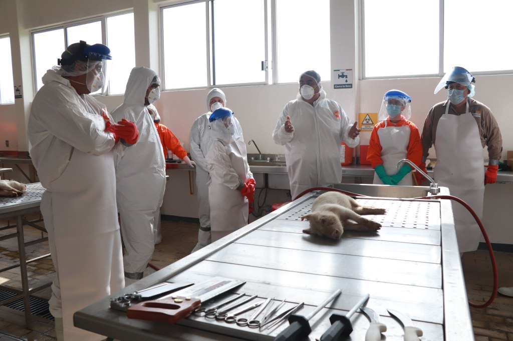 Capacitará Agricultura a médicos veterinarios para reconocer enfermedades exóticas de los&nbsp;animales