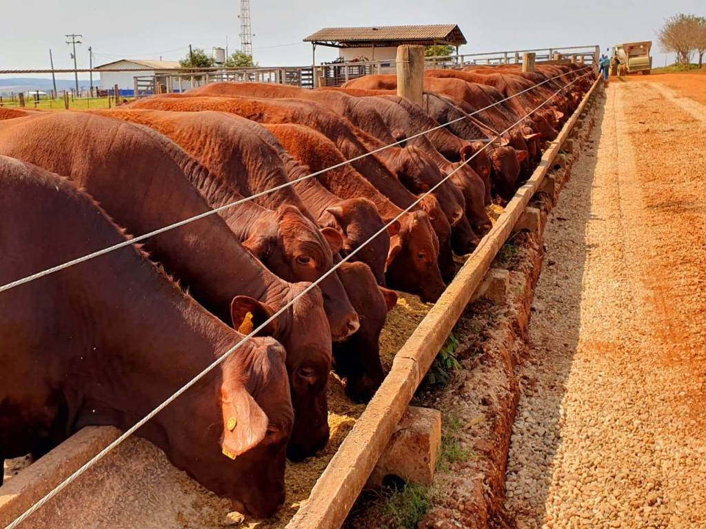 Entrevista -Exclusiva – Associação Brasileira de Santa&nbsp;Gertrudis