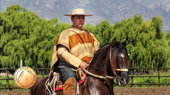 La modernidad ha llegado a los&nbsp;caballos