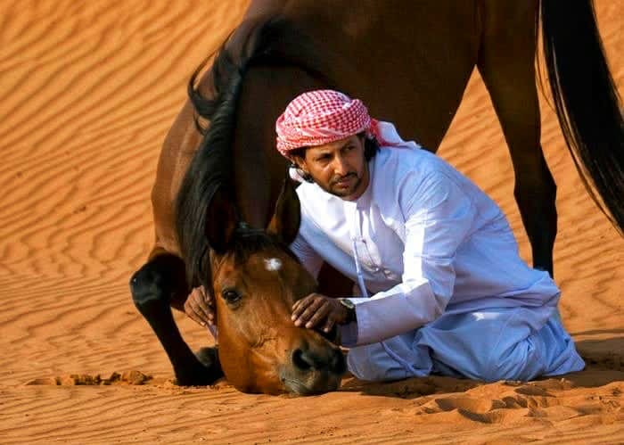 “Mentiras Racionales”….. en el mundo&nbsp;ecuestre