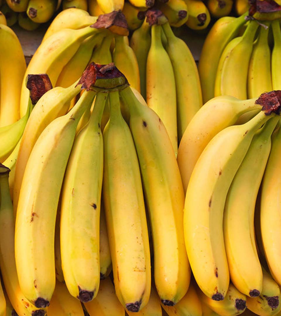 Chiapas registra un descenso en la producción de mango y&nbsp;plátano