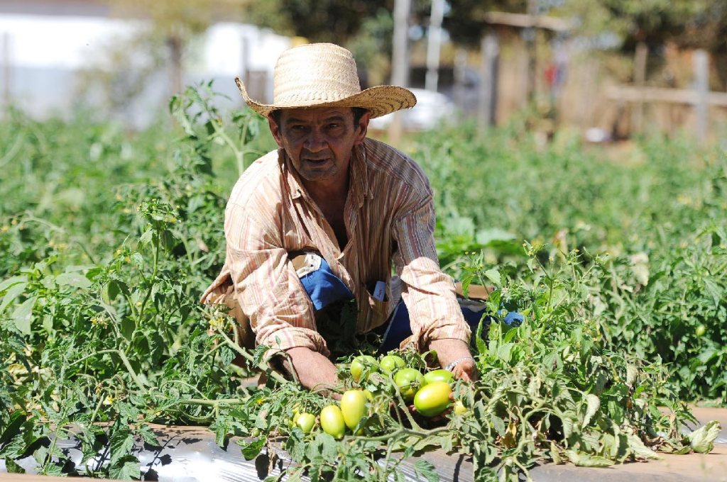 México pide inclusión de agricultores y consumidores para impulsar&nbsp;desarrollo