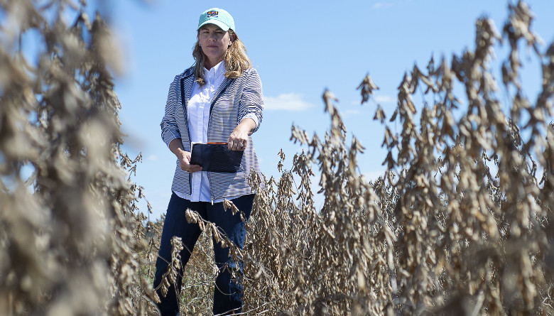 México será en 2021 el segundo mayor importador de soya, solo por debajo de&nbsp;China