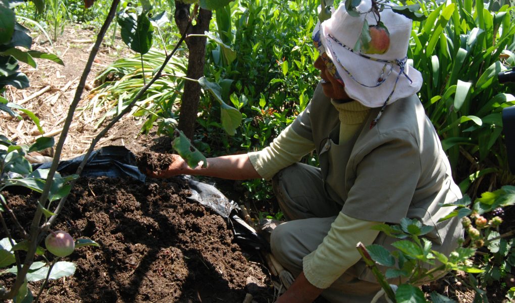 México, EU y Canadá intercambian información para enfrentar efectos del cambio climático en la&nbsp;agricultura