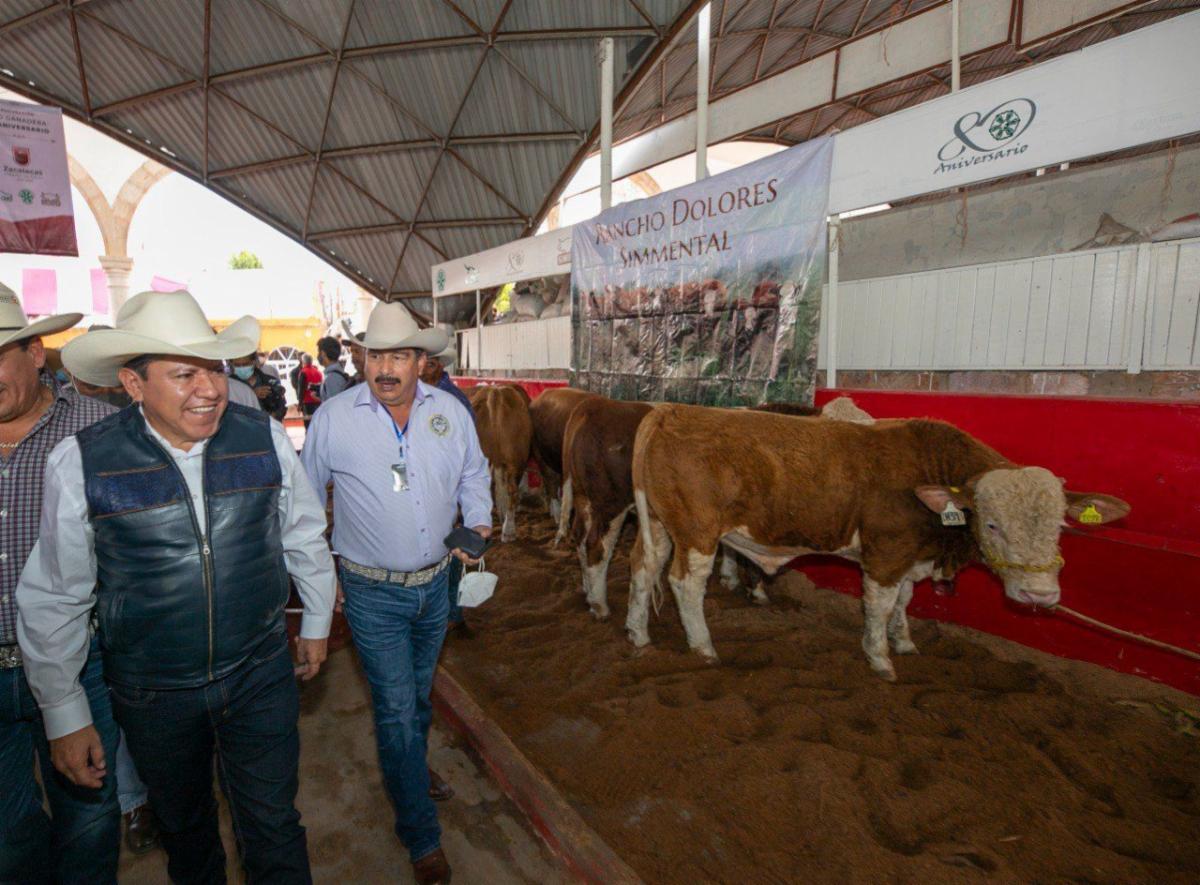 Expo Agropecuaria subsidiará 50% costo de insumos de Feria Ganadera￼