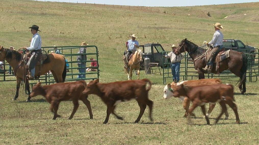 Nebraska Farm Bureau asks for update on US meatpacking investigation￼