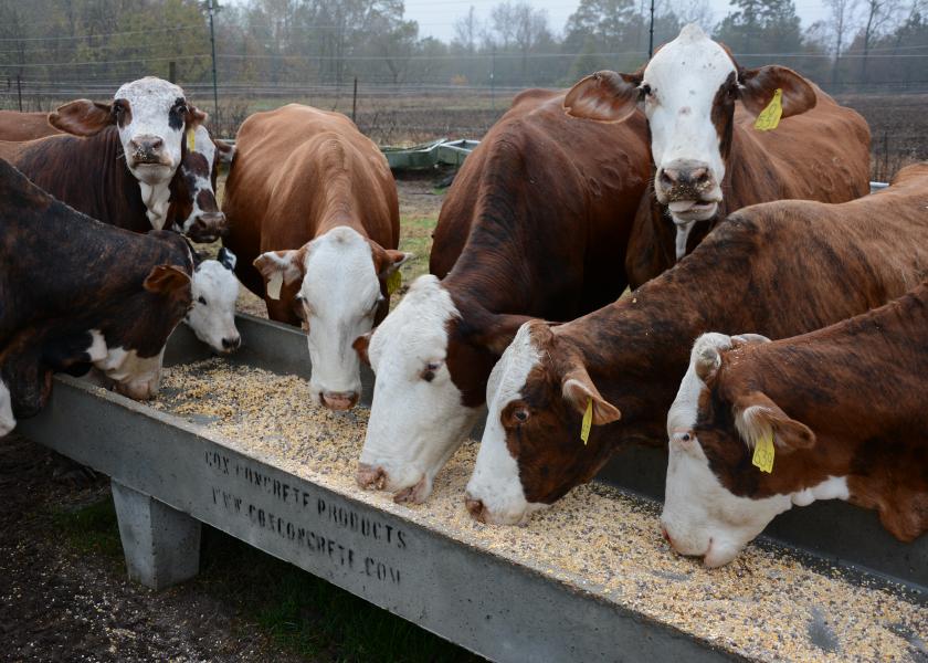 5 Ways To Address Heat Stress And Keep Cows Cool