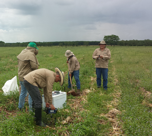 Perderían ganaderos y agricultores, 5 mil hectáreas en Campeche