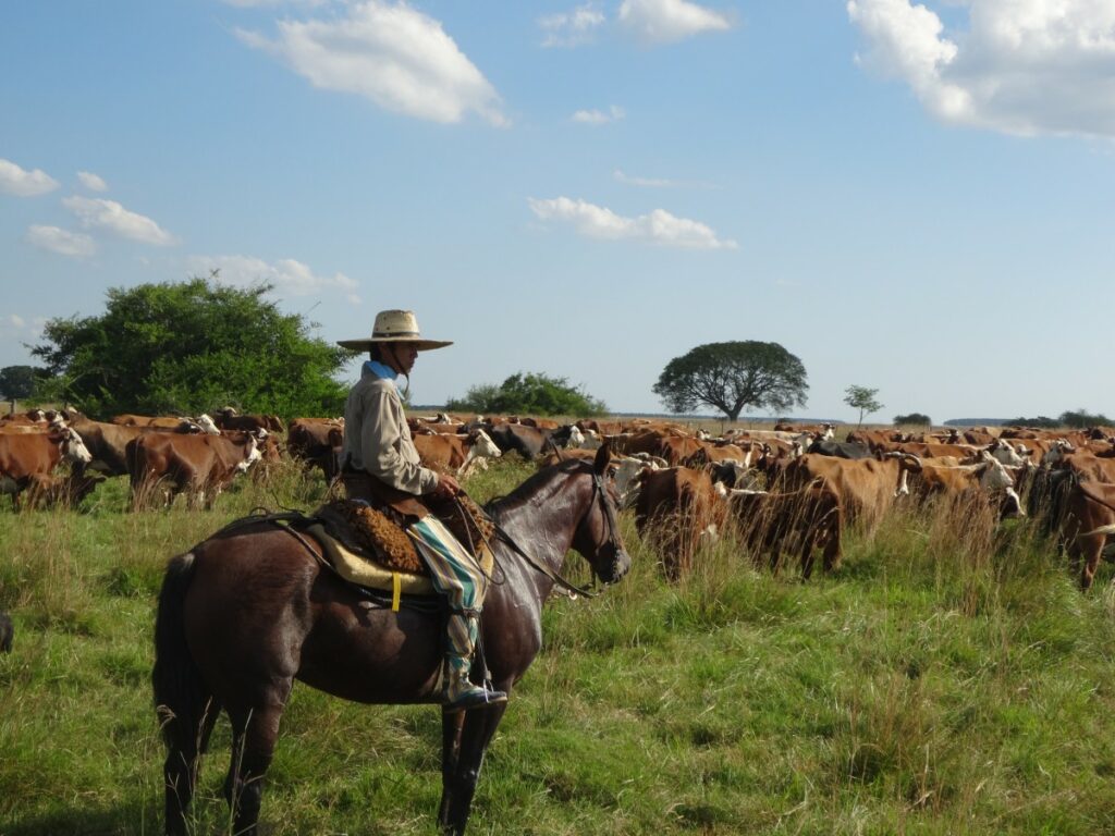 Argentina farmers say special soy exchange rate fails to solve issue