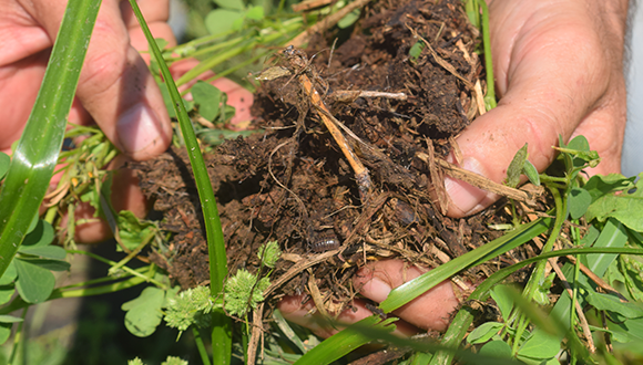 Promueve Coahuila la agricultura regenerativa o agro-ecológica