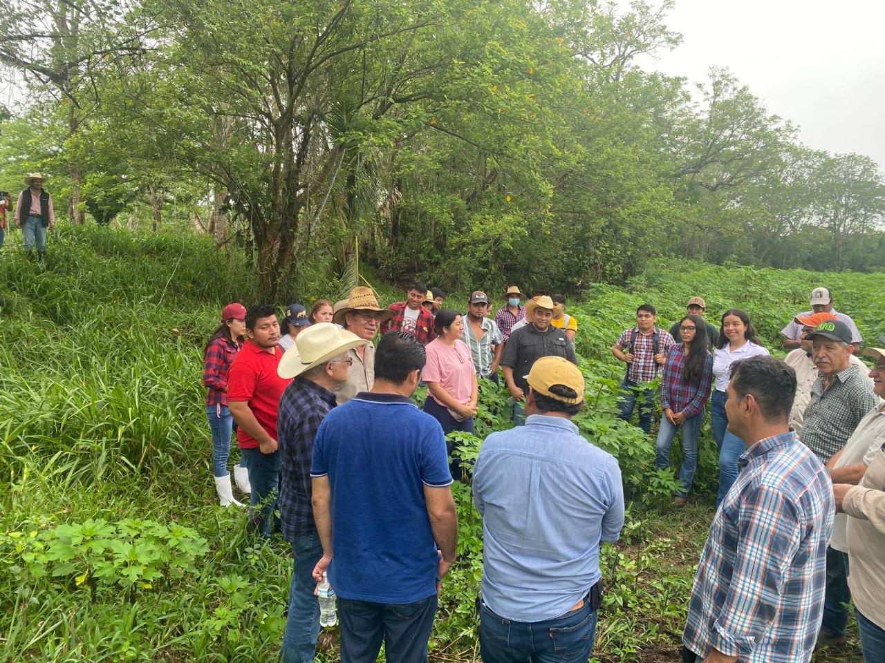 Imparten con éxito Curso sobre Estrategias Sustentables para la Alimentación Animal en el Trópico