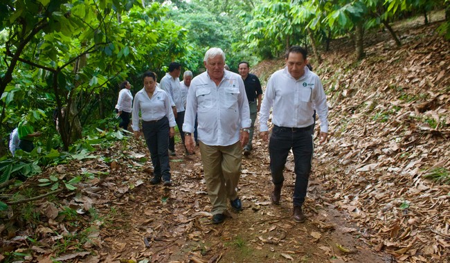 Promueve Agricultura sistemas silvopastoriles para la integración productiva forestal, agrícola, pecuaria y apícola