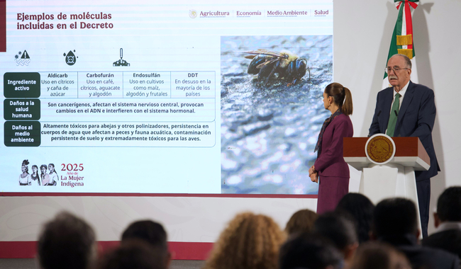 Gobierno de México prohíbe 35 plaguicidas de alto riesgo para la salud y el medio ambiente