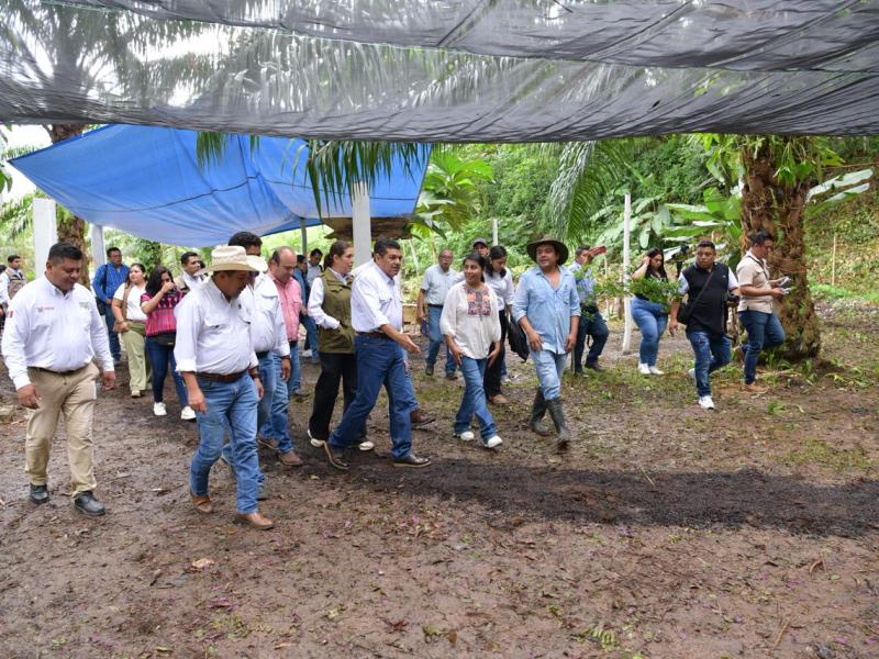 Con Sembrando Vida, el campo tabasqueño tiene larga vida: May Rodríguez supervisa vivero en&nbsp;Teapa