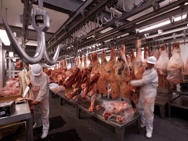 Golpe a la ganadería: China impuso cuotas y aranceles adicionales del 55% a la carne&nbsp;argentina