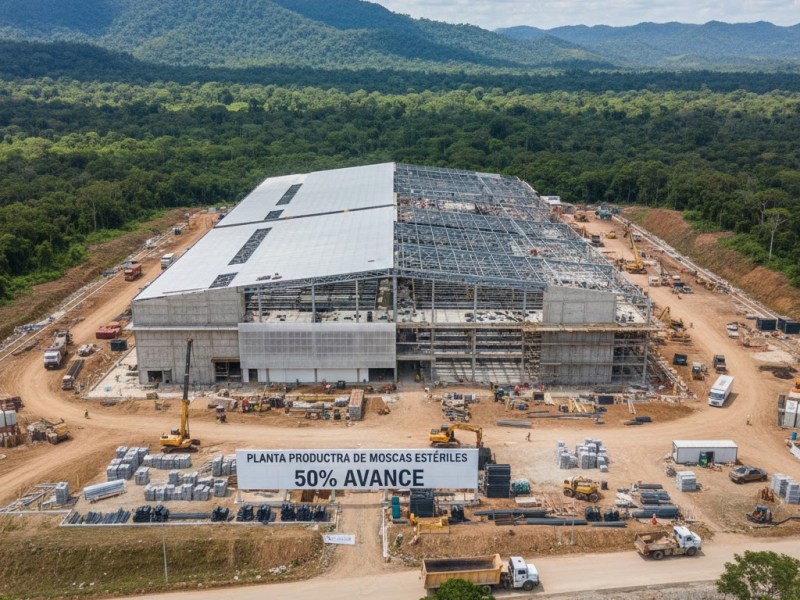 La planta productora de moscas estériles para combatir el gusano barrenador, ubicada en Chiapas, presenta avance del 50 por&nbsp;ciento