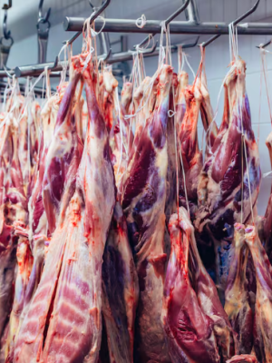 Activan ganaderos nueva ruta ante cierre&nbsp;fronterizo