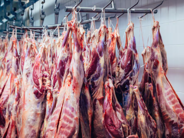 Activan ganaderos nueva ruta ante cierre&nbsp;fronterizo