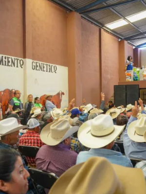 Ganaderos amagan con bloqueos y tomas, de persistir abandono del campo 