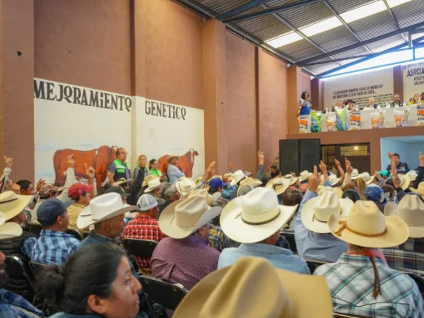 Ganaderos amagan con bloqueos y tomas, de persistir abandono del campo 