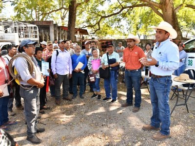 Con la entrega de paquetes del Crédito Ganadero a la Palabra, comienza el repoblamiento pecuario en zonas donde había decaído la&nbsp;producción