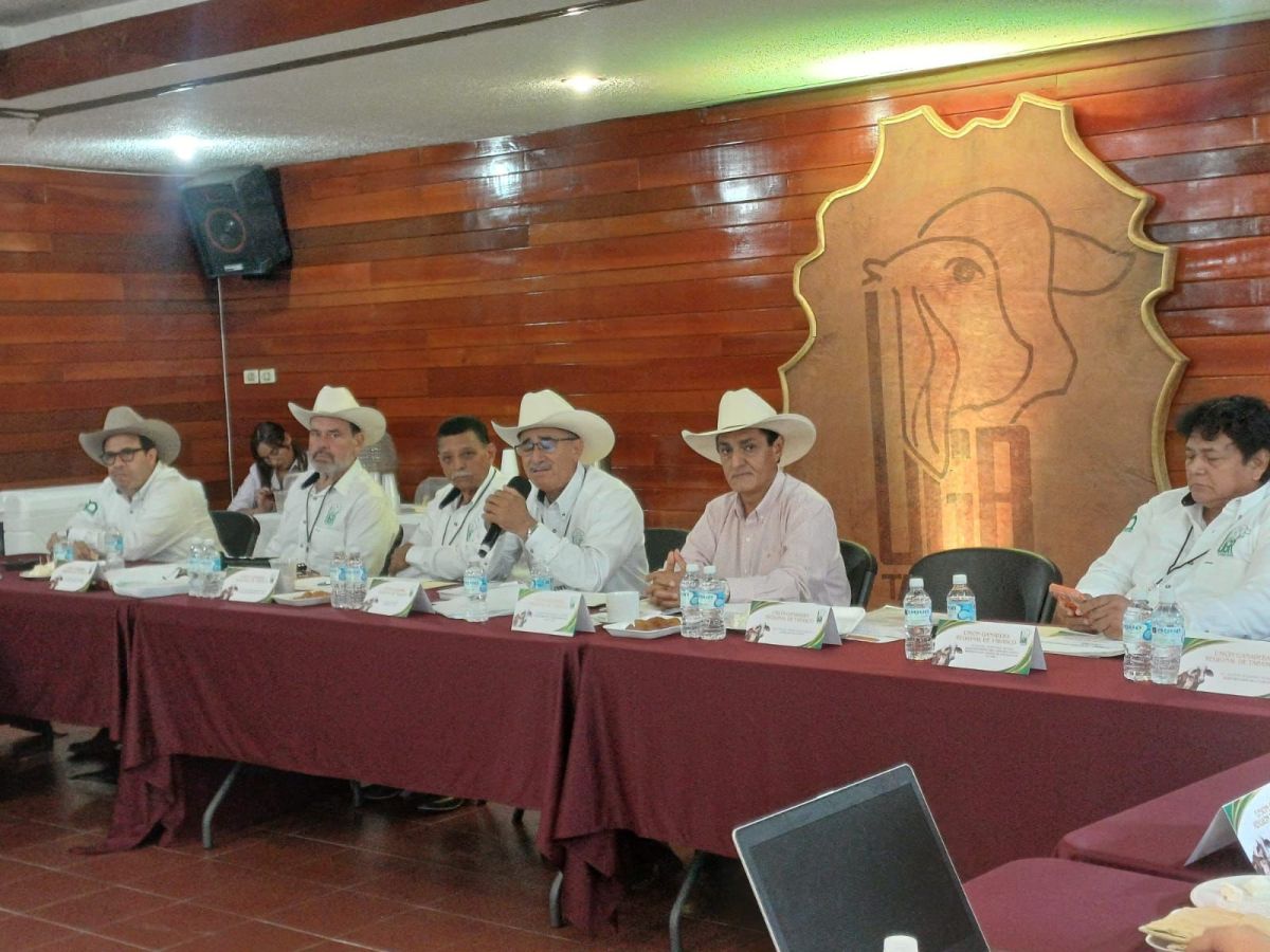 Respaldan gestión de Carlos Frías al frente de la UGR de Tabasco; aprueban informes por&nbsp;unanimidad