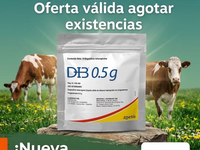 Sincronización y precisión: La clave para elevar la tasa de preñez en el&nbsp;hato