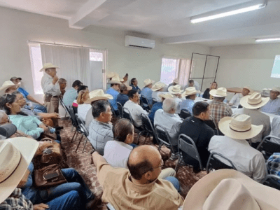 Blindan el hato ganadero contra gusano&nbsp;barrenador