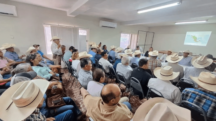 Blindan el hato ganadero contra gusano&nbsp;barrenador