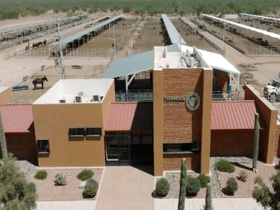 UGRS ya tiene fecha para la construcción del Parque Ganadero Industrial de&nbsp;Sonora