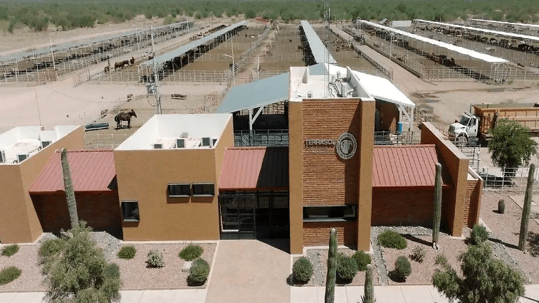 UGRS ya tiene fecha para la construcción del Parque Ganadero Industrial de&nbsp;Sonora
