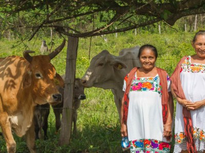 Ganadería para el Bienestar lleva apoyos a productoras y productores de Campeche para que puedan fortalecer su&nbsp;actividad